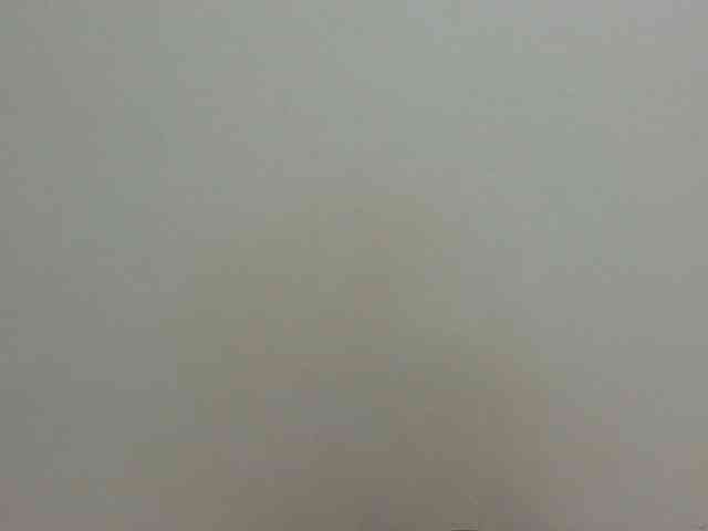 Arriana webcam