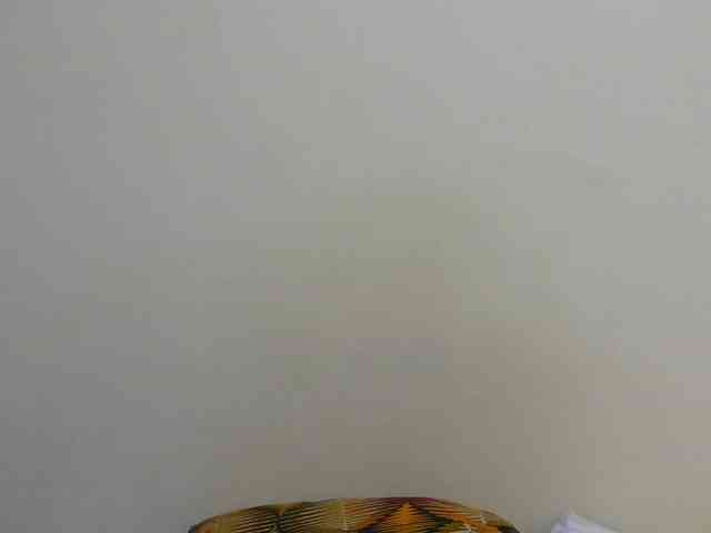 Arriana webcam