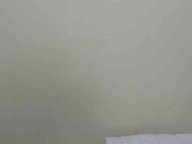 Arriana webcam