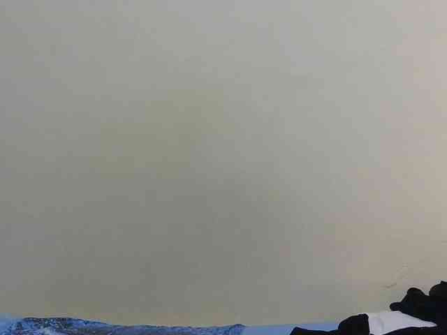 Arriana webcam
