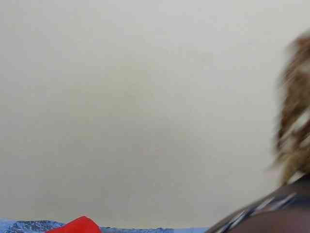 Arriana webcam