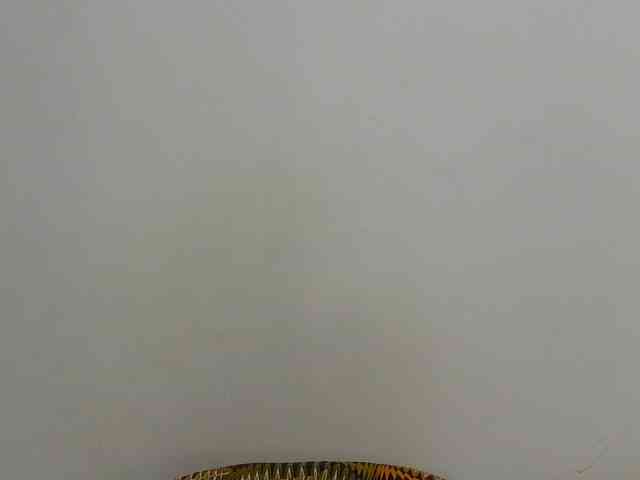 Arriana webcam