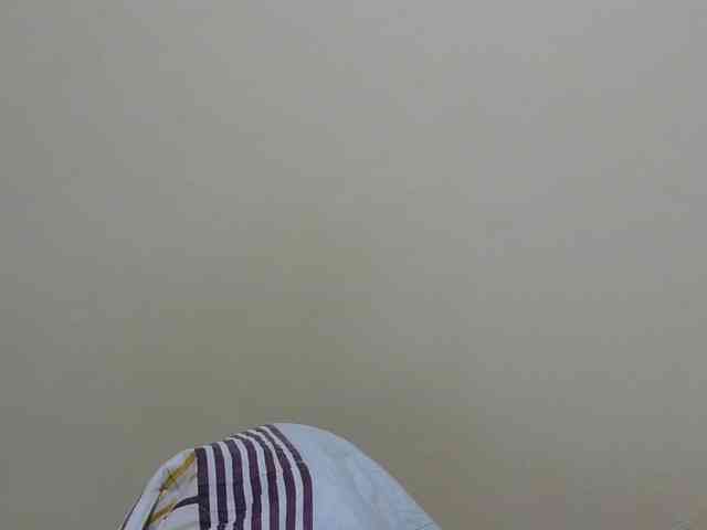 Arriana webcam