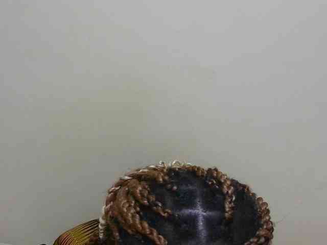 Arriana webcam