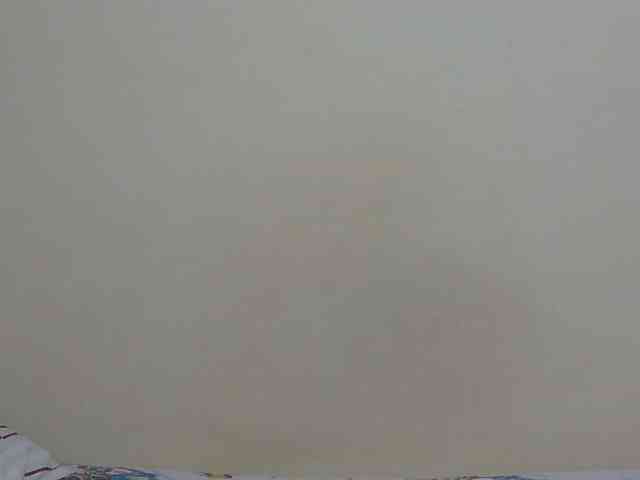 Arriana webcam