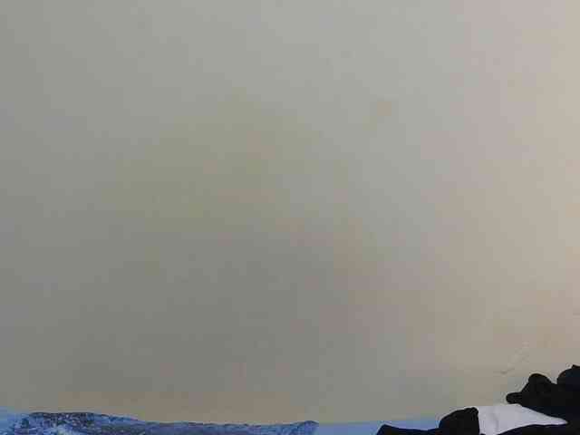 Arriana webcam