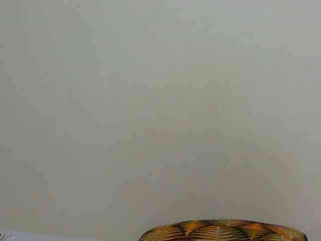 Arriana webcam