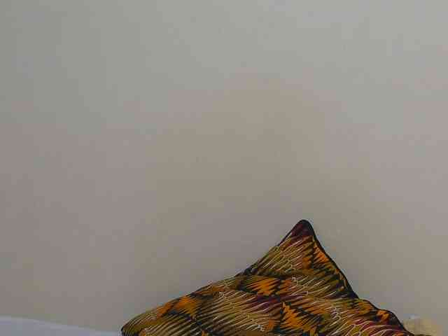 Arriana webcam
