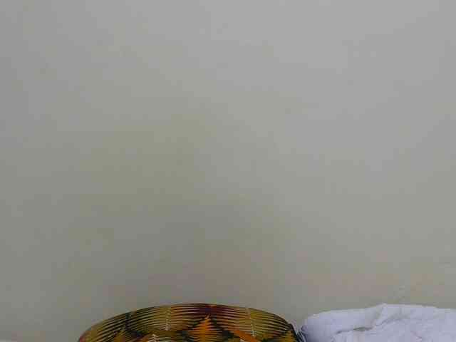Arriana webcam