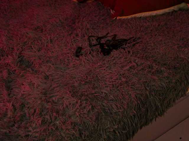SarahRude live cam on BongaCams