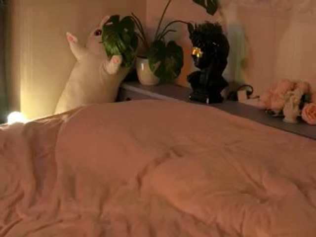 SarahRude live cam on BongaCams