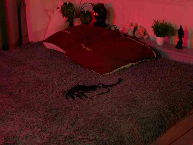 SarahRude webcam
