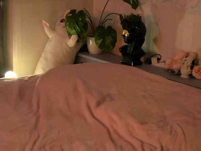 SarahRude's webcam live show
