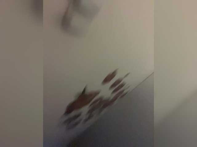 go to chat with Vikmarhot