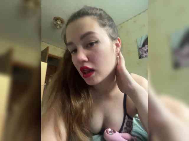 Vikmarhot webcam