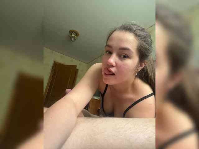 Vikmarhot webcam