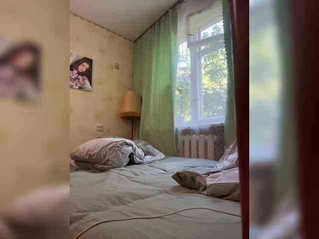Vikmarhot webcam