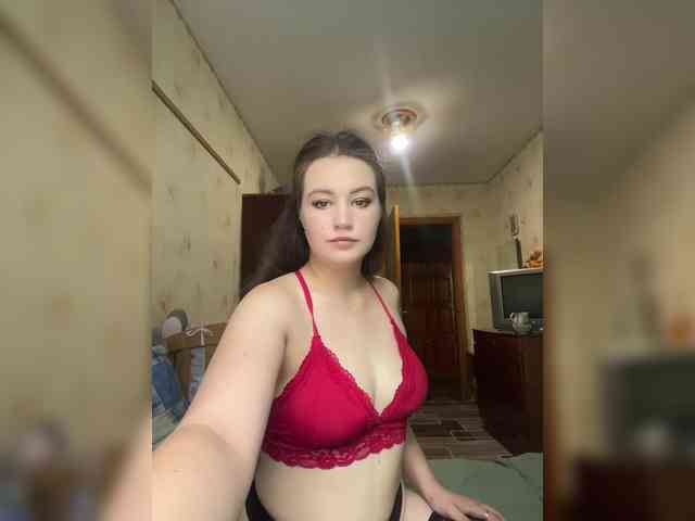 Vikmarhot webcam