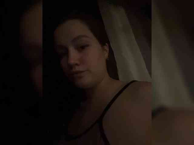 Vikmarhot webcam
