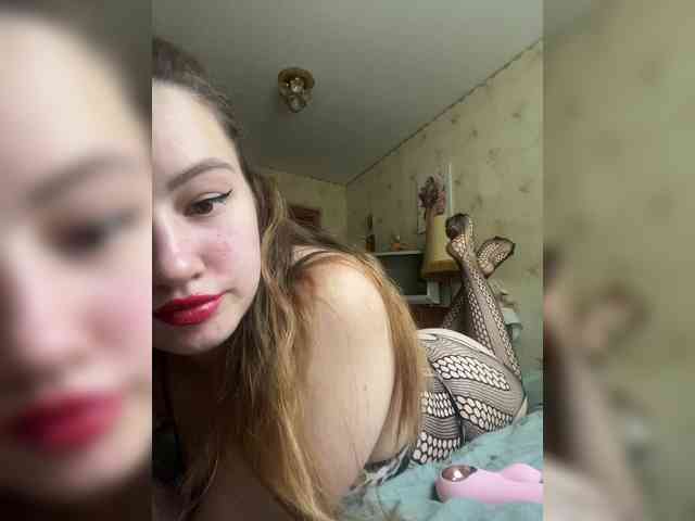 Vikmarhot webcam