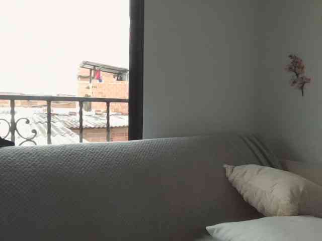 Rouse-torres webcam