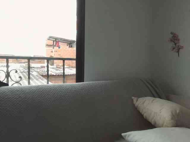 Rouse-torres webcam