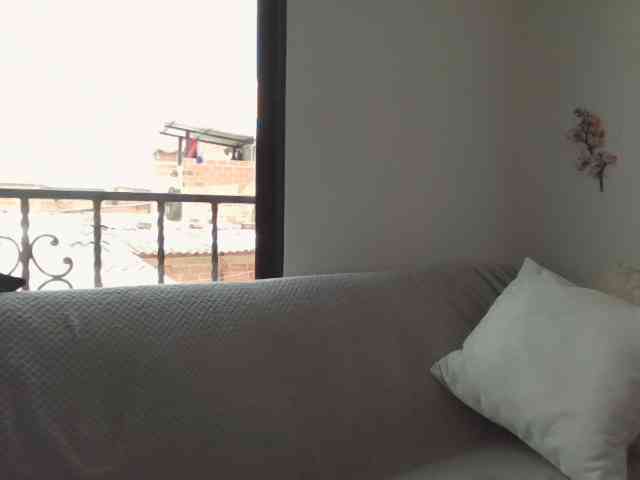 Rouse-torres webcam