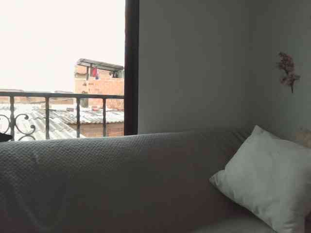 Rouse-torres webcam