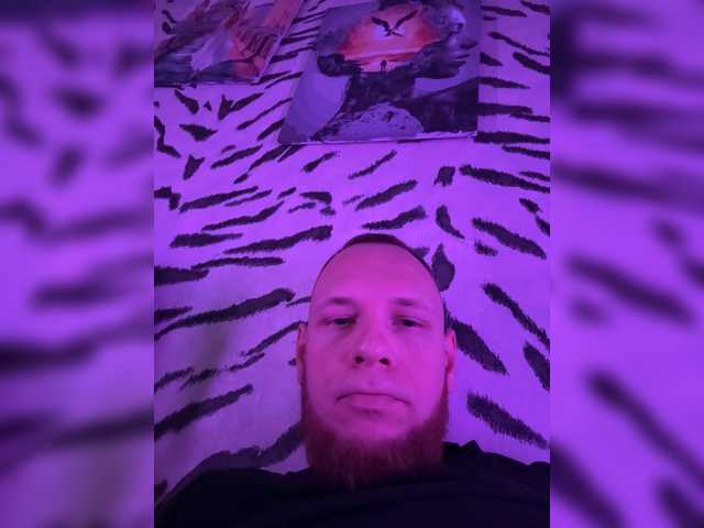Live трансляция Qlik-s - Runet.cam
