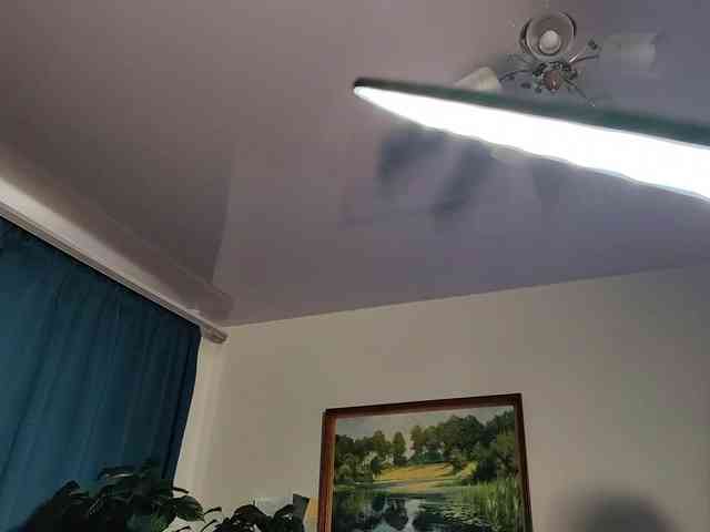 EvaMeow webcam