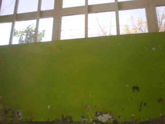 Cutelana webcam
