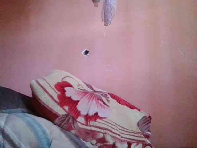 Cutelana webcam