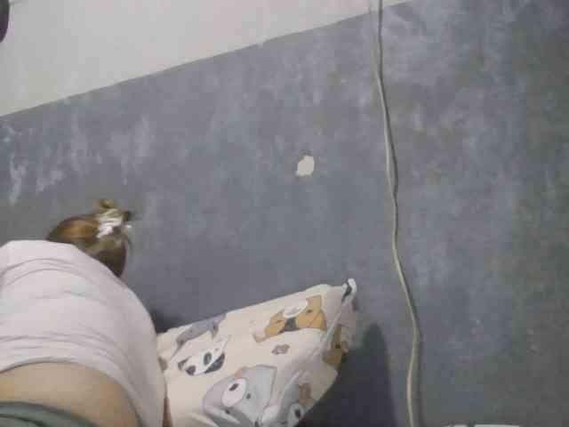 Shaylicious webcam