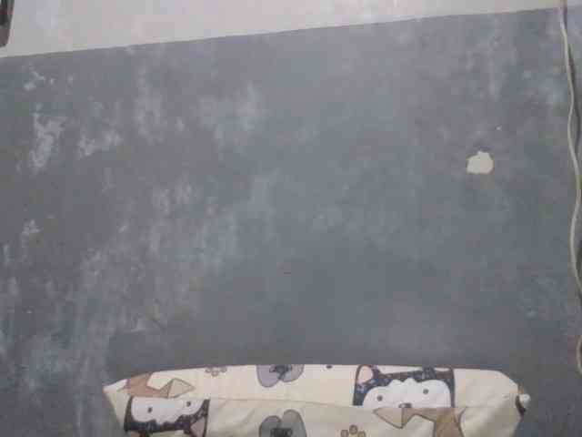 Shaylicious webcam