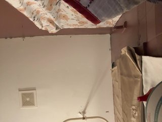 BMFjolene22