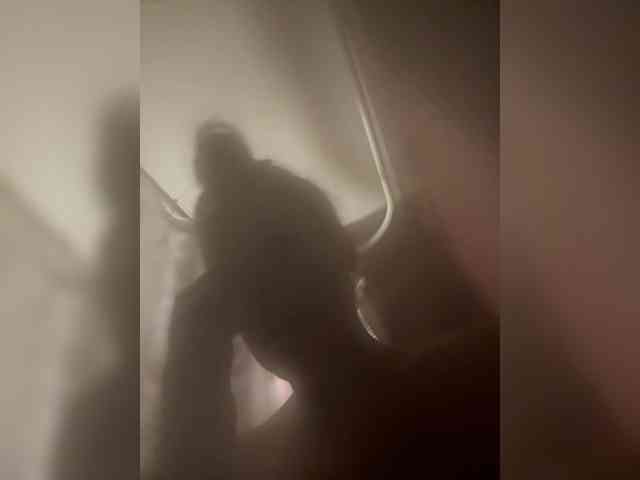 BMFjolene22 webcam