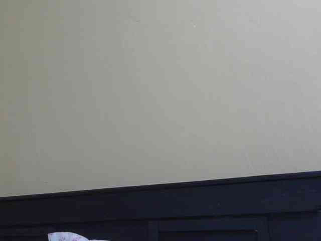 Kinky-1 webcam