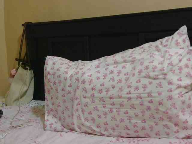 Kinky-1 webcam