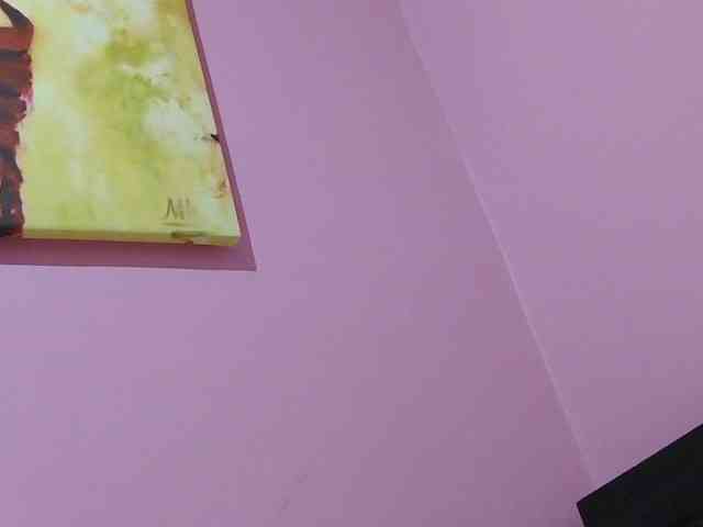 Kinky-1 webcam