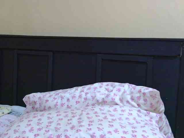 Kinky-1 webcam