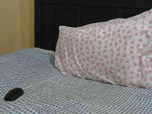 Kinky-1 webcam