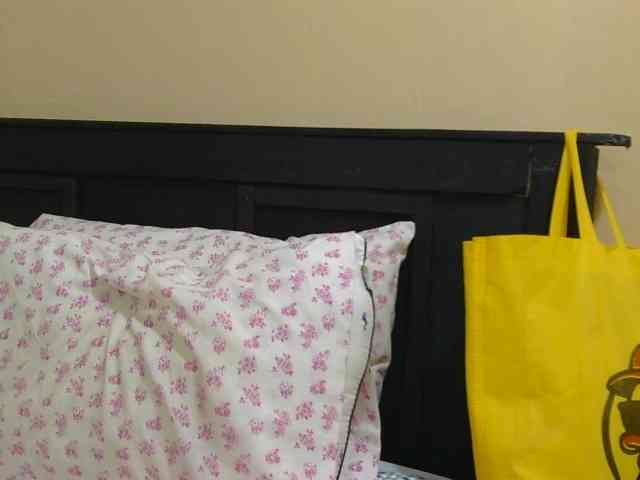 Kinky-1 webcam