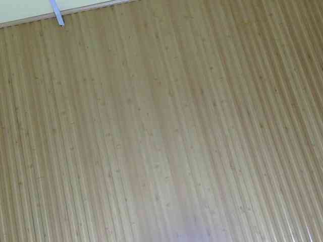 Kinky-1 webcam