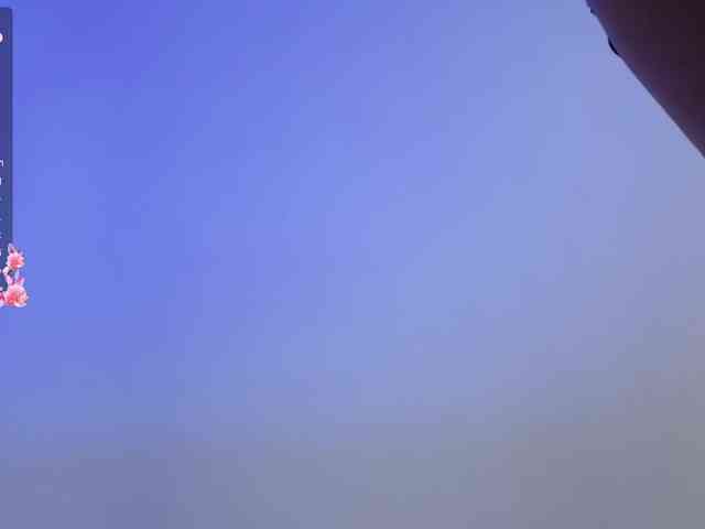 LumiNika1 webcam