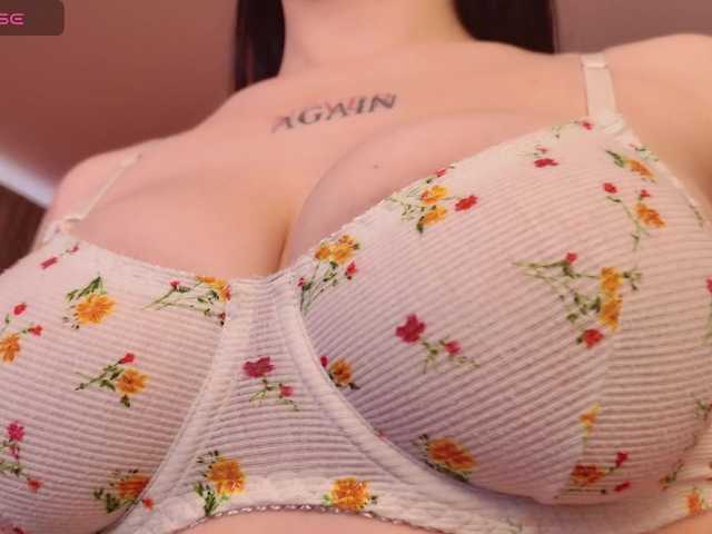 Darineko