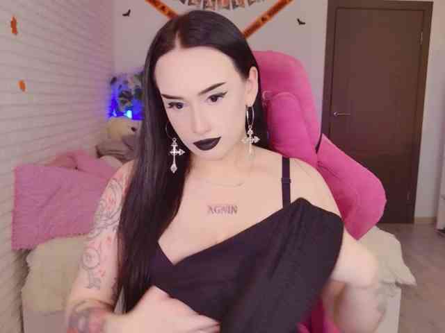 Darineko webcam