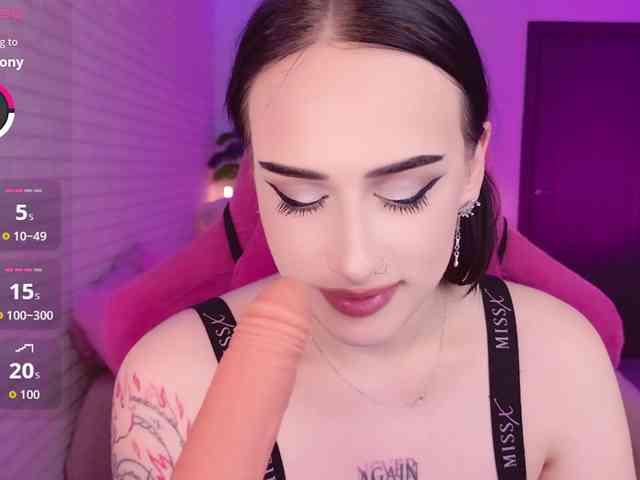 Darineko webcam