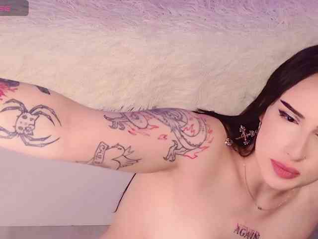 Darineko webcam