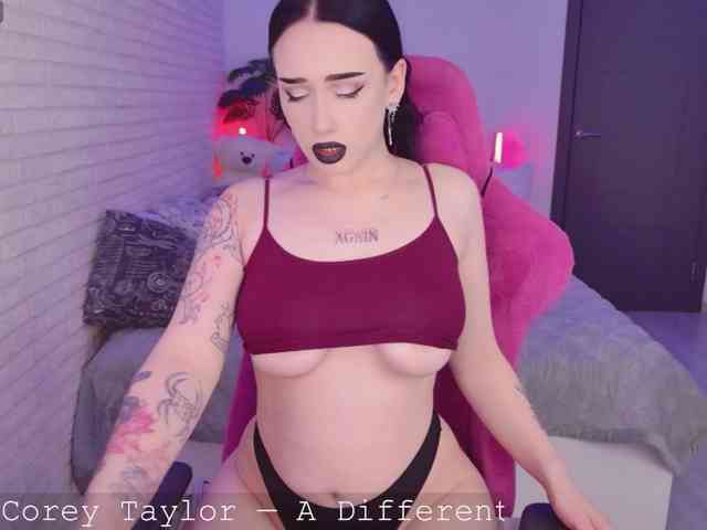 Darineko webcam
