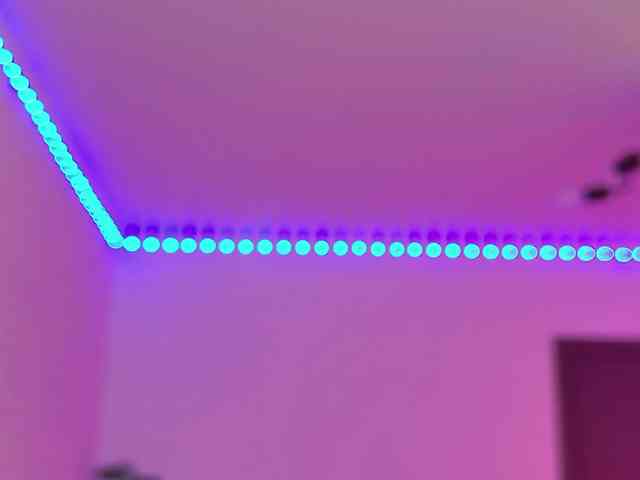 Darineko webcam